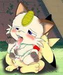  meowth pikachu pokemon tagme 