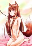  animal_ears bad_hands barefoot bed_sheet blush brown_hair collar covering covering_crotch fang flat_chest holo leash lips long_hair nude red_eyes sakayama_shinta seiza sitting solo spice_and_wolf tail toe_scrunch wolf_ears 