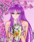  athena athena_(saint_seiya) brown_hair covering femdom flower kido_saori kidou_saori knights_of_the_zodiac miniboy pegasus_seiya purple_hair saint_seiya saori_kido size_difference tears topless vase 