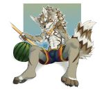  2018 abs anthro canine clothed clothing food fruit fur hi_res huka male mammal melon piercing seth_(tas) staff suikawari swimsuit tokyo_afterschool_summoners topless watermelon 