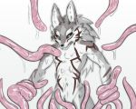  anthro bound canine dripping featureless_crotch fur grey_fur hamohabu male mammal muscular muscular_male nude seth_(tas) solo tentacles tokyo_afterschool_summoners wet wolf 