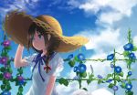  1girl ahoge alternate_costume blue_eyes blue_flower blue_ribbon blue_sky braid cloud commentary_request day dress flower hair_over_shoulder hair_ribbon hand_on_headwear hat kantai_collection kiuzu_(ko_kiu2) long_hair looking_away morning_glory neck_ribbon outdoors plant purple_flower ribbon shigure_(kancolle) sidelocks single_braid sky solo straw_hat sun_hat trellis upper_body vines 