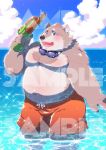  2018 bear belly clothing jambavan male mammal moobs navel overweight overweight_male solo star_parlor swimsuit tokyo_afterschool_summoners water 