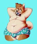  2018 anthro belly belly_overhang big_belly blue_background blush boxer_briefs bulge canine clothing collar deep_navel hands_behind_head looking_away love_handles male mammal navel okaeri overweight overweight_male pinup pose simple_background solo standing thick_thighs tongue tongue_out underwear wide_hips 