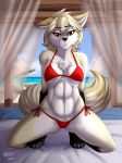  2018 abs anthro beach bed bikini black_nose breasts canine chair chest_tuft cleavage clothed clothing clovis_(twokinds) crouching curtains detailed_background digitigrade dipstick_tail female fluffy fluffy_tail fox fur gloves_(marking) hair heresy_(artist) hi_res hybrid keidran kneeling looking_at_viewer mammal markings midriff multicolored_tail navel outside red_eyes sea seaside skimpy socks_(marking) solo swimsuit tuft twokinds umbrella water white_fur white_hair wolf yellow_sclera 