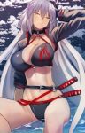  bikini black_bikini black_choker black_gloves black_jacket blue_sky breasts choker cleavage cloud collarbone commentary_request cropped_jacket eyebrows_visible_through_hair fate/grand_order fate_(series) gloves hair_between_eyes hand_on_own_head jacket jeanne_d'arc_(alter_swimsuit_berserker) jeanne_d'arc_(fate)_(all) katana large_breasts long_hair multiple_swords navel o-ring o-ring_bikini o-ring_bottom o-ring_top partially_submerged pen_(pen3) shrug_(clothing) silver_hair sitting sky swimsuit sword very_long_hair water weapon yellow_eyes 