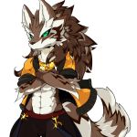  2018 abs anthro canine green_eyes hi_res male mammal seth_(tas) simple_background solo standing tokyo_afterschool_summoners white_background xlo_fa 