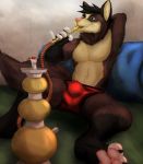  anthro big_bulge bulge canine clothed clothing coyote green_eyes hookah huttser-coyote_(character) male mammal paws pillow sitting smoking solo topless underwear vodcat 