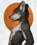  2016 anthro black_nose canine fur hi_res male mammal multicolored_fur nipples solo toothlessfan two_tone_fur wolf 草飛泥 