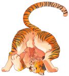  cat cum cum_on_face cum_on_own_face cum_on_self feline feral male mammal serialdad stripes tiger 