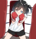  bangs black_hair black_shorts blue_eyes blurry blurry_background boxing_gloves boxing_ring commentary_request depth_of_field eyebrows_visible_through_hair hair_between_eyes hair_over_one_eye hands_up head_tilt highres looking_at_viewer one_side_up original shirt short_shorts short_sleeves shorts solo standing suzunari_shizuku white_shirt yuki_arare 