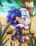  anthro beach cum duo fan_(disambiguation) female geekoflewds geekoflimn geekoflove male male/female mostly_nude penis pocky_the_shiba_inu pussy seaside sex sonic_(series) sonic_the_hedgehog 