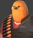  avian bird buxbi feathers grey_background heavy_(team_fortress_2) low_res orange_feathers profile_picture simple_background team_fortress_2 valve video_games 