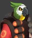  avian bird buxbi demoman_(team_fortress_2) feathers green_feathers grey_background low_res profile_picture simple_background team_fortress_2 valve video_games yellow_eyes 