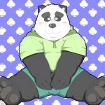  2018 anthro bear blush bulge clothing eyes_closed hoodie humanoid_hands male mammal overweight overweight_male panda shorts sitting solo tanutronik753_k 