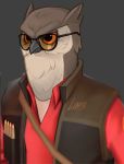  avian bird brown_feathers buxbi eyewear feathers glasses grey_background low_res owl profile_picture simple_background sniper_(team_fortress_2) solo team_fortress_2 valve video_games 