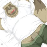  2018 bed belly bulge canine clothing male mammal overweight overweight_male penis shirt sleeping solo tanuki tanutronik753_k underwear 