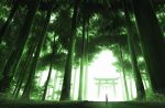  backlighting commentary forest gensuke_(ryun) grass green hair_ornament japanese_clothes kimono light_particles looking_back nature original path road rope scenery shide shimenawa short_hair solo sunlight torii tree yukata 