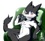  2014 anthro biped black_fur blue_eyes blush chair cheek_tuft chest_tuft crossed_legs crotch_tuft eating food fur head_tuft holding_food holding_object looking_at_viewer male multicolored_fur nude pocky pubes saku1saya sergal simple_background sitting solo tail_tuft tuft two_tone_fur watermark white_background white_fur 