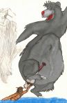  anal anal_fingering balls baloo bear child disney fingering fur god_is_dead_and_we_killed_him human kill_it_with_fire male mammal mowgli nude open_mouth penis ranchhand_(artist) smile teeth the_jungle_book young 