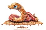  ambiguous_gender blue_eyes coin copperhead cryptid-creations fangs feral humor mineral_fauna orange_scales ouroboros penny_(coin) pun reptile scales scalie simple_background snake solo viper visual_pun white_background 
