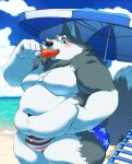  anthro beach belly big_belly blue_eyes blush bulge canine chubby_cheeks clothing deep_navel dog dog_tags eating food fur grey_fur holding_belly looking_at_viewer love_handles male mammal obese overweight sausage seaside silicon_chub smile solo standing thick_thighs tuft underwear white_fur 