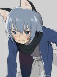  animal_ears blue_eyes blush cardigan cat_ears catboy eyebrows_visible_through_hair great_kichi ledo_vassar light_blue_hair pop-up_story scarf solo sweatdrop 