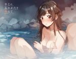  1girl back-to-back blush breasts brown_eyes brown_hair cleavage convenient_arm copyright_name fly_(marguerite) highres kimi_no_wasurekata_o_oshiete long_hair medium_breasts mixed_bathing non-web_source novel_illustration nude official_art onsen open_mouth partially_submerged shiny shiny_hair sitting water 