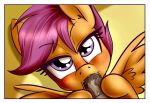  2018 anibaruthecat disembodied_penis duo equine friendship_is_magic hair hi_res looking_at_viewer male mammal my_little_pony oral pegasus penis scootaloo_(mlp) sex solo_focus wings young 