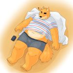  2016 anthro arufina_w belly bulge canine clothing humanoid_hands male mammal navel overweight overweight_male phone shirt solo underwear 
