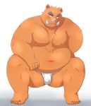  2014 anthro arufina_w belly blush boar bulge clothing fundoshi humanoid_hands japanese_clothing male mammal moobs navel nipples overweight overweight_male porcine simple_background solo tusks underwear white_background 