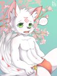  alanisawolf777 anthro black_nose blush bulge canine cherry_blossom clothed clothing fox fundoshi fur green_eyes inner_ear_fluff japanese_clothing looking_at_viewer male mammal markings open_mouth plant red_fur solo underwear white_fur 