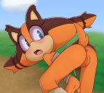  2018 anthro anus badger bent_over big_eyes blue_eyes blush bottomless bracelet brown_fur butt clothed clothing colored digital_media_(artwork) eyelashes female fur grass hearlesssoul hi_res jewelry looking_back mammal mustelid open_mouth orange_fur outside presenting presenting_hindquarters pussy raised_tail rear_view shirt skirt sky solo sonic_(series) sonic_boom sticks_the_jungle_badger surprise sweat video_games 