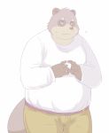  2012 anthro arufina_w belly brown_fur canine clothing fur humanoid_hands male mammal overweight overweight_male pants shirt simple_background solo tanuki white_background 