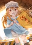  bangs black_footwear blue_shirt blurry blurry_background blush boots brown_eyes brown_hair character_name clothes_writing commentary_request depth_of_field dutch_angle eyebrows_visible_through_hair flag flat_cap grey_hat grey_shorts hair_between_eyes hat hataraku_saibou highres holding holding_flag iroha_(shiki) knee_boots long_hair looking_at_viewer open_mouth platelet_(hataraku_saibou) shirt short_shorts short_sleeves shorts solo standing very_long_hair 