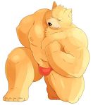  2017 anthro arufina_w belly brown_fur bulge canine clothing dog fur male mammal moobs navel nipples simple_background slightly_chubby solo underwear white_background 
