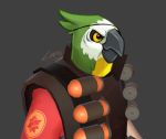  anthro avian beak bird clothing demoman_(team_fortress_2) feathers green_feathers grey_background lintufriikki male simple_background solo team_fortress_2 valve video_games yellow_eyes 