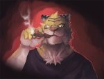  2014 5_fingers anthro cigar clothed clothing feline lower male mammal solo stripes tiger tuft yellow_eyes 