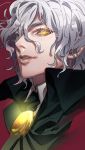  black_cape cape collared_shirt commentary_request copyright_request edmond_dantes_(fate/grand_order) fate/grand_order fate_(series) grey_hair hair_between_eyes highres lips looking_at_viewer male_focus parted_lips red_background shirt simple_background smile solo tenobe upper_body white_shirt wing_collar yellow_eyes 