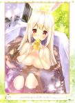  animal_ears bathing bunny_ears naked p19 wet 