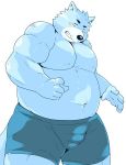  2017 anthro arufina_w blue_fur blush bulge canine clothing fur humanoid_hands male mammal moobs navel overweight overweight_male simple_background solo underwear white_background 