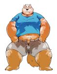  2018 anthro arufina_w belly canine clothing dog humanoid_hands male mammal navel overweight overweight_male shirt shorts simple_background solo white_background 