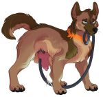  alpha_channel animal_genitalia animal_penis balls blue_eyes brown_fur canine canine_penis cum dog erection feral fur knot leash leash_in_mouth male mammal penis penis_leash serialdad simple_background solo transparent_background 