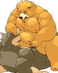  2017 anal anthro arufina_w bear brown_fur canine cum duo fur male male/male mammal moobs navel nipples overweight overweight_male penis simple_background sitting sweat white_background wolf 