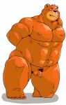 2017 anthro arufina_w balls bear belly brown_fur fur male mammal moobs musclegut navel nipples penis simple_background solo white_background 