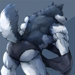  2016 anthro black_nose canine clothed clothing fur male mammal multicolored_fur muscular muscular_male rear_view solo standing topless two_tone_fur underwear waddledox wolf 