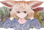  akegata_tobari alternate_costume animal_ears arms_behind_head bangs blonde_hair brown_eyes closed_mouth collarbone commentary ears_down fennec_(kemono_friends) flower fox_ears hands_up kemono_friends large_ears long_sleeves looking_at_viewer multicolored_hair red_flower red_rose rose short_hair smile solo tree upper_body 