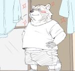  2018 anthro belly blush clothing humanoid_hands kusunokisippo male mammal overweight overweight_male procyonid raccoon shirt shorts solo 