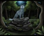  2013 black_bars blue_eyes cat digital_media_(artwork) feline forest fur glowing glowing_eyes grey_fur looking_at_viewer mammal maplespyder night outside rock tree 