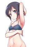  arm_up armpits black_hair blue_bra blue_eyes bra closed_mouth eyebrows_visible_through_hair flat_chest groin highres konnyaku_(kk-monmon) kurosaki_honoka looking_at_viewer navel short_hair simple_background solo underwear underwear_only white_background yama_no_susume 